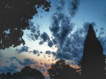 Low angle view of trees against cloudy sky