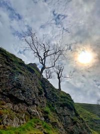 Low angle view of bare tree against sky