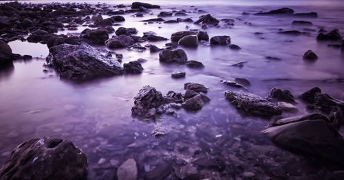 Reflection of trees in water