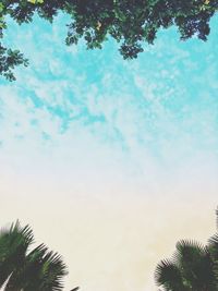 Low angle view of coconut palm tree against sky