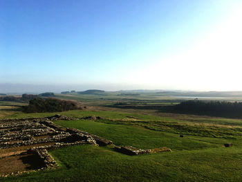 Scenic view of agricultural field against clear sky