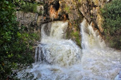 Scenic view of waterfall in forest