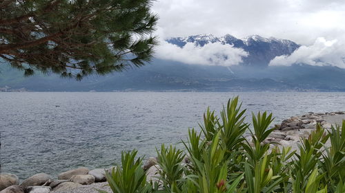 Lake with mountain in background