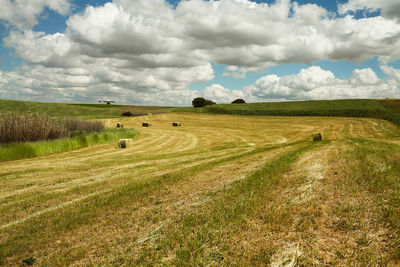 Scenic view of agricultural field against sky