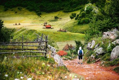 Rear view of people walking on dirt road in mountain countryside