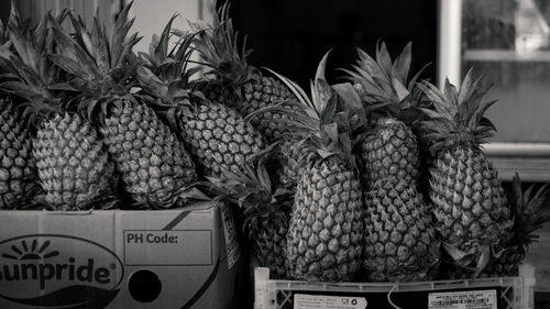 Pineapple.