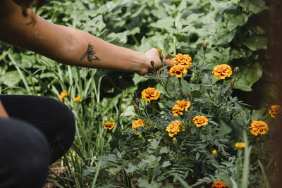 A portrait of a young woman farmer working in the farm with flowers