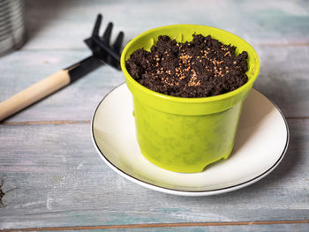 Preparing seedlings for growing at home. green pot with soil and seeds and garden rake