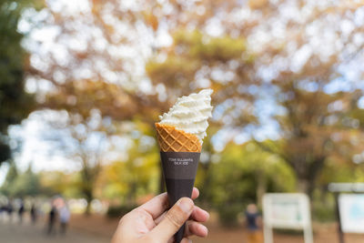 Person holding ice cream cone