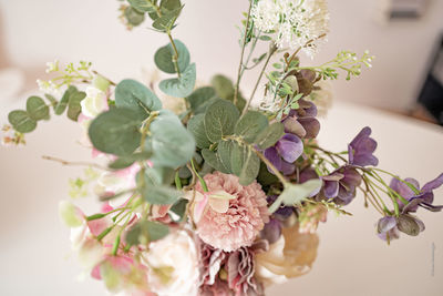 Close-up of potted plant at home