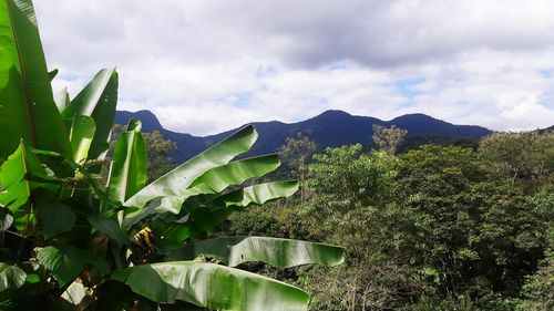 Scenic view of farm against sky