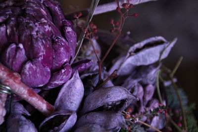 Close-up of purple flowering plant