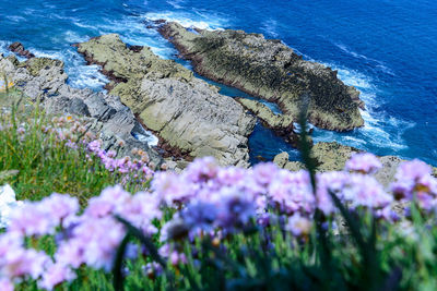 Scenic view of sea and rocks