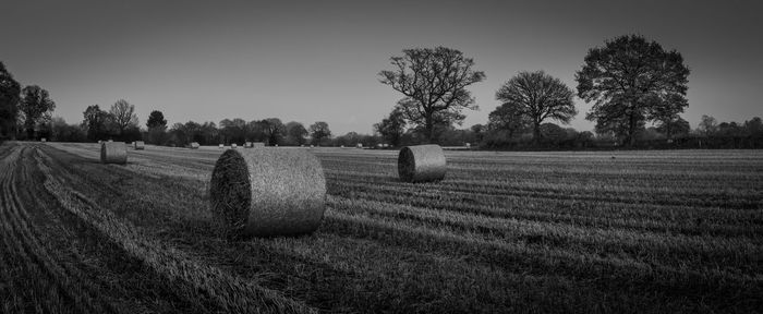 Hay bales on field against sky