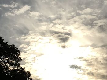 Low angle view of silhouette trees against sky during sunset