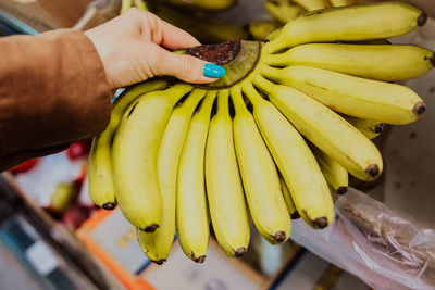 Midsection of woman holding fruit