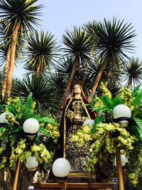 Low angle view of palm trees