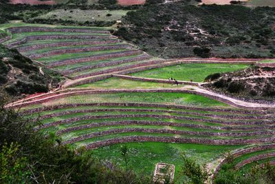 High angle view of agricultural field