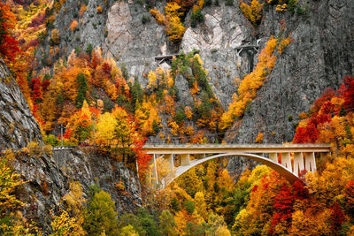 Bridge over mountain