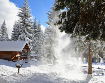 Frozen trees on snow covered landscape