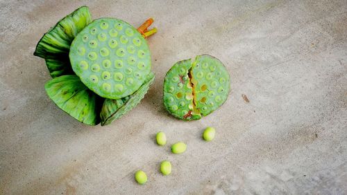 High angle view of fruit on white background