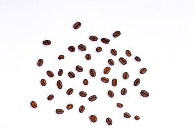 High angle view of coffee beans against white background