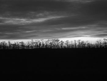 Silhouette trees on field against sky