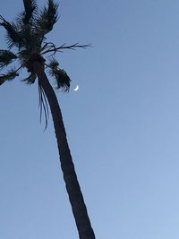 Low angle view of trees against clear blue sky