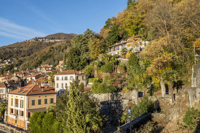 Foliage with red leaves near the lake maggiore in maccagno.