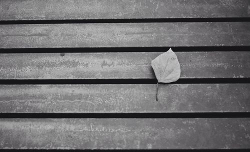 High angle view of sunlight falling on bench