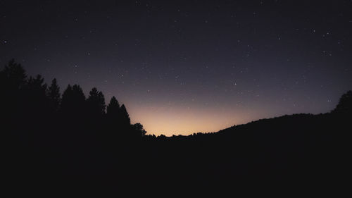 Low angle view of silhouette trees against sky at night