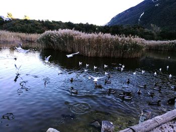 Scenic view of lake against sky