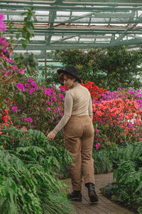 A beautiful plus size girl in a hat walking among the green plants of the greenhouse.