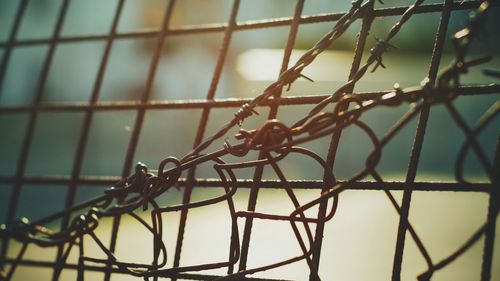 Close-up of chainlink fence