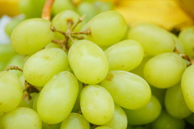 Close-up of fruits for sale in market