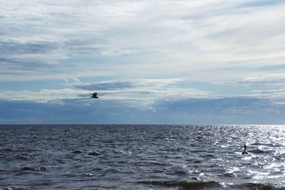 Seagull flying over sea against sky