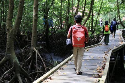 Rear view of people walking on footpath in forest