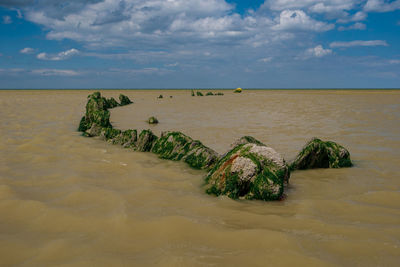 Leftovers of a algae covered shipwreck from a world war ship at a beach in northern france