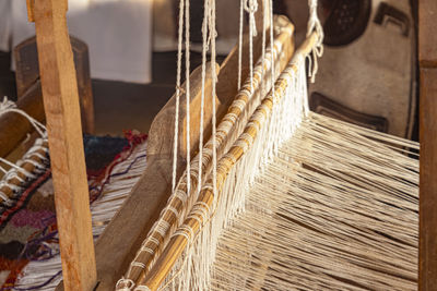 Close-up of bamboos