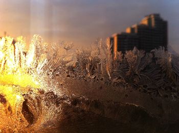 Close-up of water drops on grass against sky during sunset