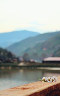 Scenic view of sea against mountain