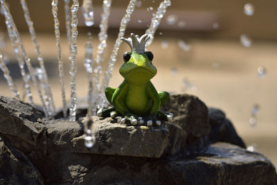 Close-up of stuffed toy on rock