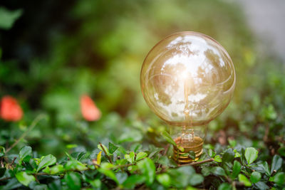 Close-up of crystal ball