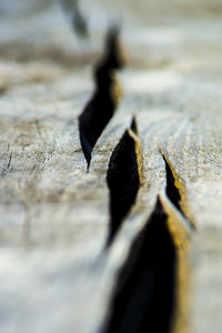 Surface level of white surface