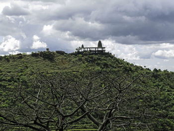 Low angle view of trees on landscape against sky