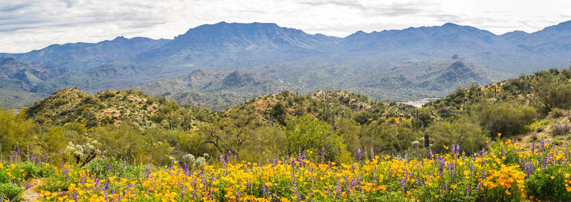 Scenic view of mountains against sky