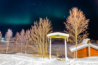 Illuminated trees on snow covered field against sky at night