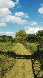 View of trees on countryside landscape