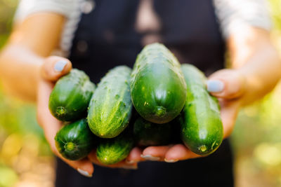 Midsection of man holding vegetables