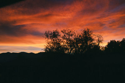 Silhouette trees against dramatic sky during sunset